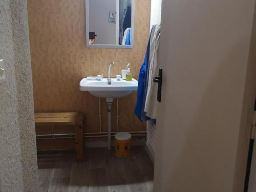 une salle de bain avec un lavabo et un miroir dans l'établissement Studio spacieux 4 pers, pied des pistes, balcon, parking - FR-1-689-49, à Villard-de-Lans