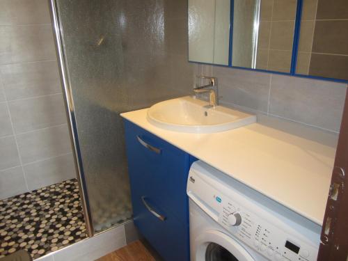 a bathroom with a sink and a washing machine at Appartement Villard-de-Lans, 2 pièces, 5 personnes - FR-1-689-65 in Villard-de-Lans