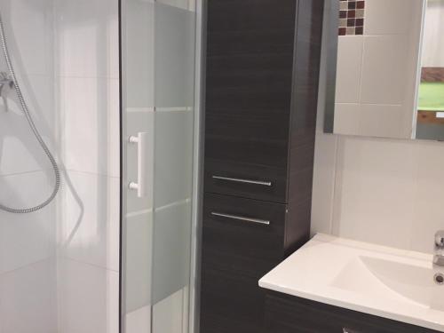a bathroom with a shower and a sink at Studio Villard-de-Lans, 1 pièce, 4 personnes - FR-1-689-90 in Villard-de-Lans