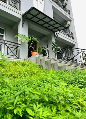 Taman di luar Rio Gonio