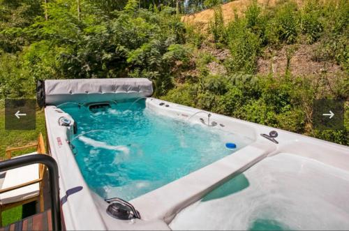 ein Whirlpool, in dem zwei Delfine schwimmen in der Unterkunft Dollywood Pool Spa Sauna Gym, Walk To Dollywood fireworks view!! in Pigeon Forge