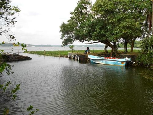 Life Ayurveda Resort – Photos 2