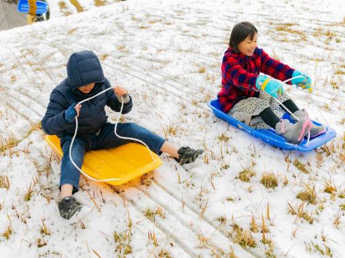two children riding on sleds in the snow at Matsue Forest Park in Matsue