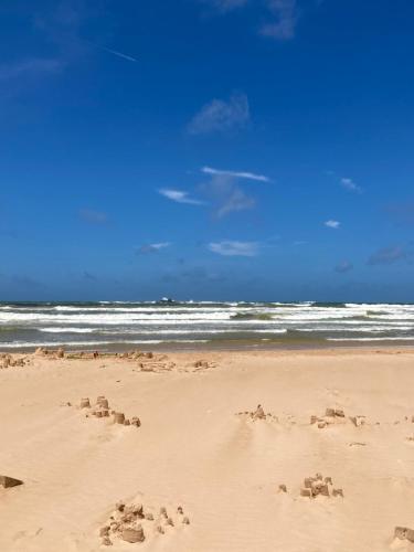a sandy beach with some animal tracks in the sand at Channa Villa & Tours in Bentota