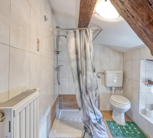 Ένα μπάνιο στο Tourist Farm Pri Živcovih