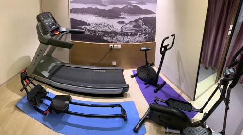 a gym with a treadmill and some exercise equipment at The Salvation Army - Booth Lodge in Hong Kong