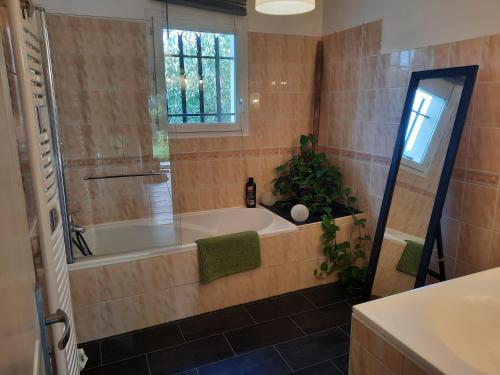 La salle de bains est pourvue d'une baignoire, d'une fenêtre et d'une plante. dans l'établissement MAISON/PISCINE 5mn de Bayonne 12 de Biarritz, à Mouguerre