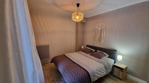 um quarto com uma cama e um lustre em Appartement lumineux avec accès jardin et piscine chauffée em Avignon