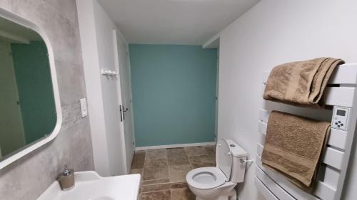 uma casa de banho com um WC e um lavatório em Appartement lumineux avec accès jardin et piscine chauffée em Avignon
