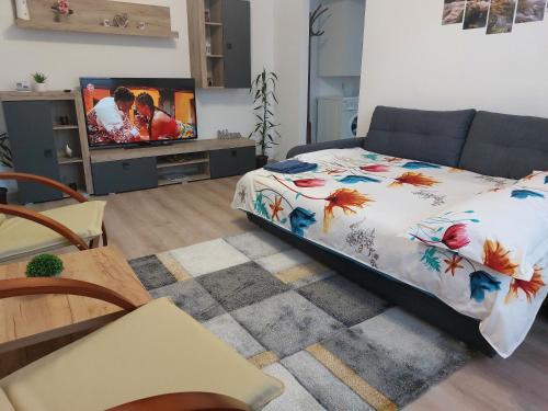 sala de estar con cama y TV de pantalla plana en La Radu, en Lupeni