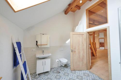 a bathroom with a toilet and a sink at Ferienhof Allgäu in Leutkirch im Allgäu