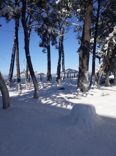 a park covered in snow with trees and a ramp at Hotel Solidarity in K'obulet'i