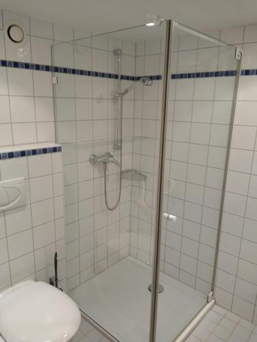 a bathroom with a shower with a sink and a toilet at Tagungshaus Reimlingen in Reimlingen