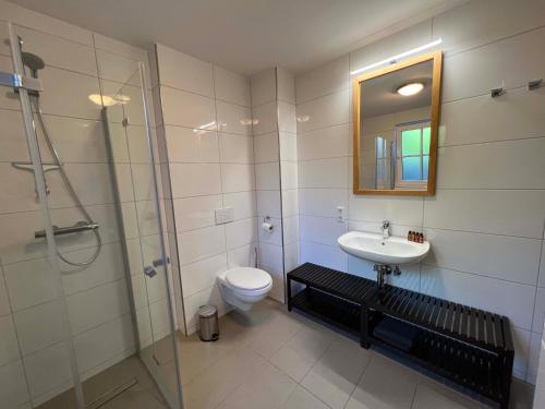 a bathroom with a toilet and a sink and a shower at Ferienwohnung Bergwiese in Winterberg