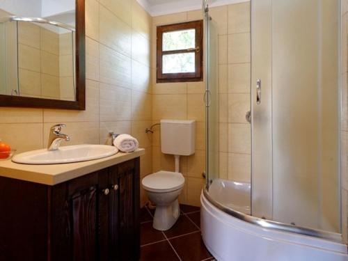 ein Bad mit einem WC, einem Waschbecken und einer Dusche in der Unterkunft Stone Villa Petit Rustica with pool in Sukošan