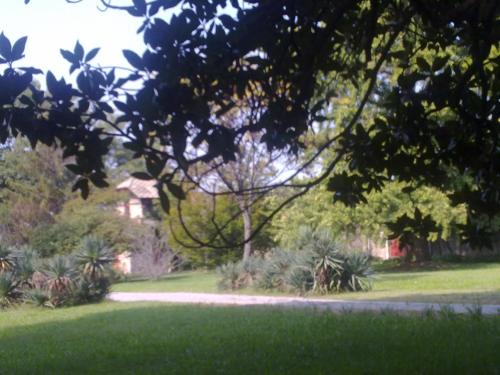 a garden with green grass and trees and a path at Albergo Villa & Roma in Palazzolo sullʼOglio