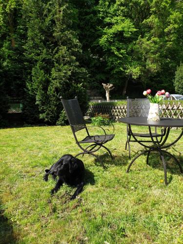 a black dog laying in the grass next to a table at Stillvolle Designwohnung im historischen Zentrum in Stolberg i. Harz