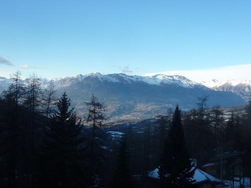 Studio central 4/6 pers, accès pistes, balcon, animaux admis - FR-1-322-59