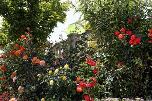 Hotel Garni Reginaにある庭