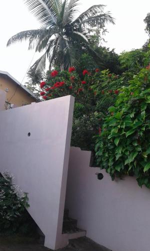 a white wall with red flowers and a palm tree at case ti kaf in Saint-Leu