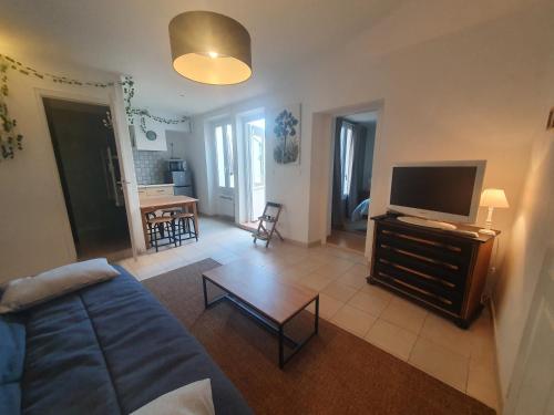 Televízia a/alebo spoločenská miestnosť v ubytovaní Appartement terrasse centre Nyons