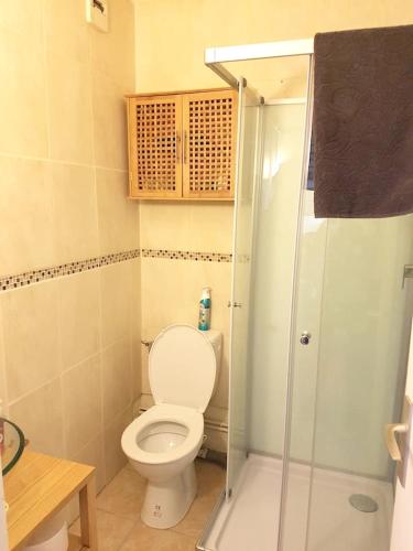 une salle de bain avec toilettes et douche en verre dans l'établissement Appartement confortable à Cauterets - 16 m², parking gratuit, à Cauterets