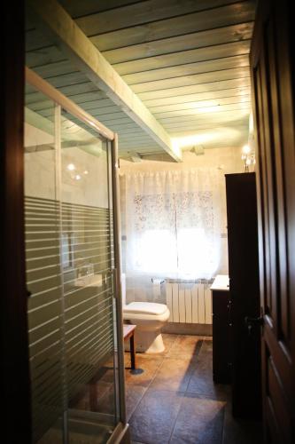 a bathroom with a toilet and a glass shower at Apartamentos turísticos LAS CARBALLEDAS in Rabanal del Camino