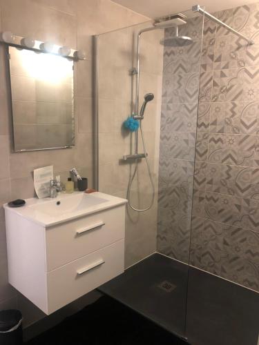 uma casa de banho com um lavatório branco e um chuveiro em Ty Logis em Montrabé