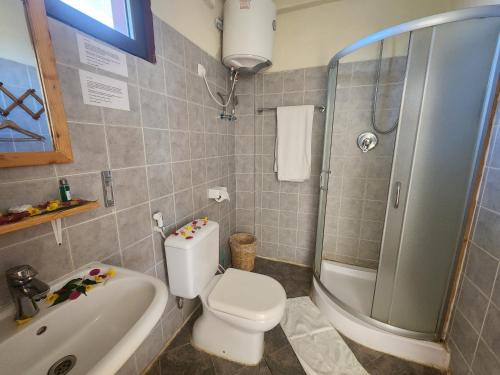 a bathroom with a toilet and a shower and a sink at Sora Lodge Lalibela in Lalībela