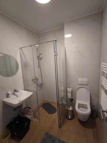 Koupelna v ubytování MM Luxury Bjelasnica apartment