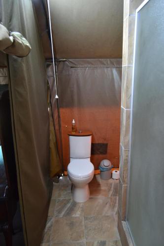 a small bathroom with a toilet in a stall at The Farmers Lodge in Thorndale
