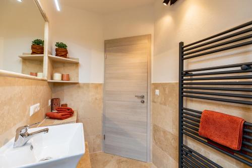 a bathroom with a shower and a sink and a showerspective at Pfälzer Nest in Pleisweiler-Oberhofen