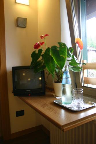 Cucina o angolo cottura di Hotel Orsa Maggiore