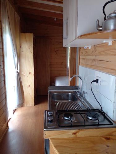 a kitchen with a stove and a sink at Eco Cabañas Wanderlust in Puerto Puyuhuapi