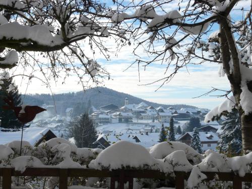 a view of a snow covered town in the distance at Landhaus Meine Auszeit in Bodenmais