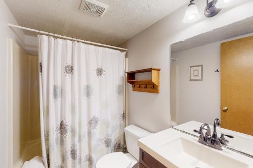 a bathroom with a sink and a toilet and a shower at Creeping Snails in Glen Arbor