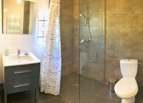 エスパラン・ド・ヴェルドンにあるChez Georges - Maison 4 - Les gîtes du Verdonのバスルーム(シャワー、トイレ、洗面台付)