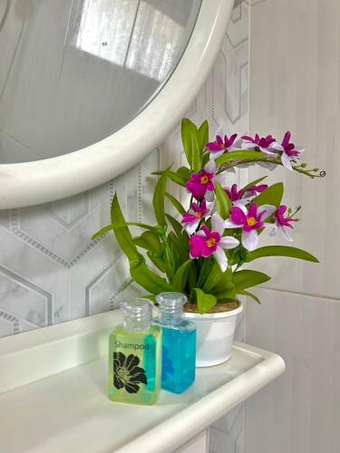 a bathroom shelf with a potted plant and a mirror at นพรัตน์การ์เด้นฮิลล์ in Uthai Thani