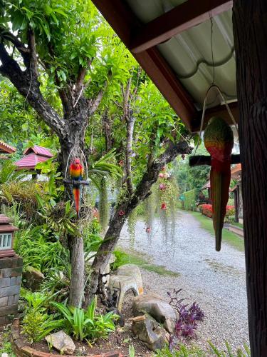 a bird perched on a tree in a garden at นพรัตน์การ์เด้นฮิลล์ in Uthai Thani