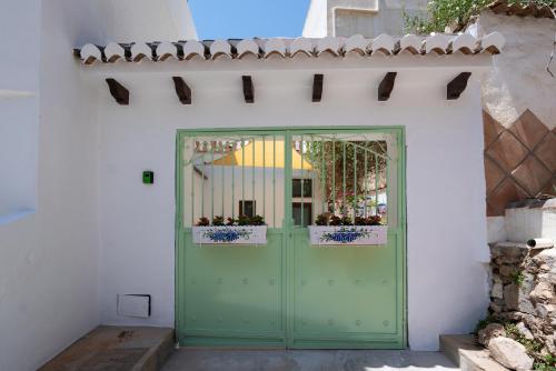 una porta verde con piante in vaso in cima di Apartamento Andalucía a Cómpeta
