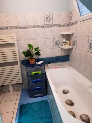 La salle de bains est pourvue d'une baignoire et d'une plante en pot. dans l'établissement Appartement de 2 chambres avec jardin amenage a Ingersheim, à Ingersheim