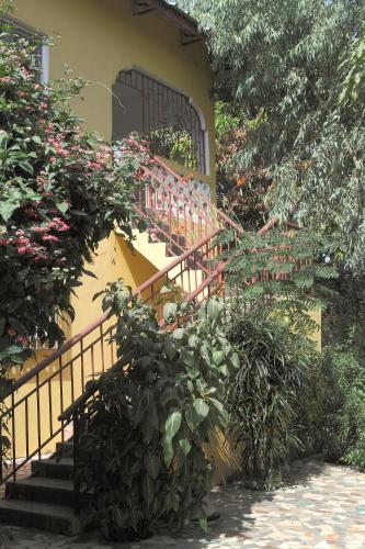 Сад в Sanchaba Yellow Apartments