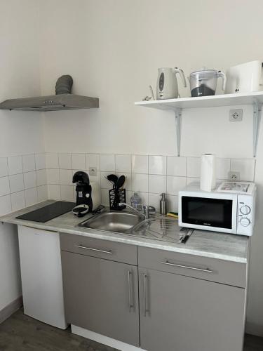 une cuisine avec un évier et un micro-ondes dans l'établissement Chablis : studio en plein centre ville, à Chablis