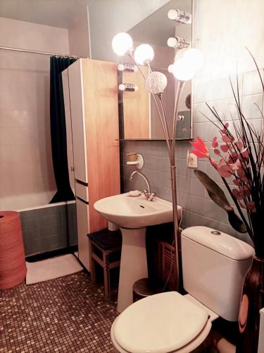 une salle de bain avec toilettes et lavabo dans l'établissement Studio accueillant au cœur de Paris - 30 m² - Tout inclus., à Paris