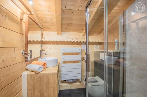 a small bathroom with a shower and a toilet at Le Flocon des Aravis in La Giettaz