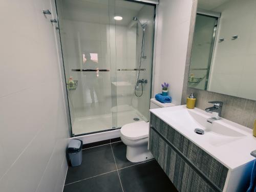 ビーニャデルマールにあるAcogedor departamento a pasos de la playaの洗面台、トイレ、シャワー付きのバスルーム