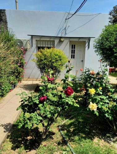 El Ceibo – Photos 4