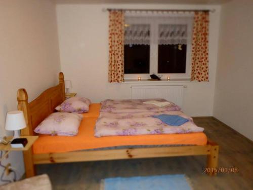 Fotografie z fotogalerie ubytování Apartmány Alex na Benecku