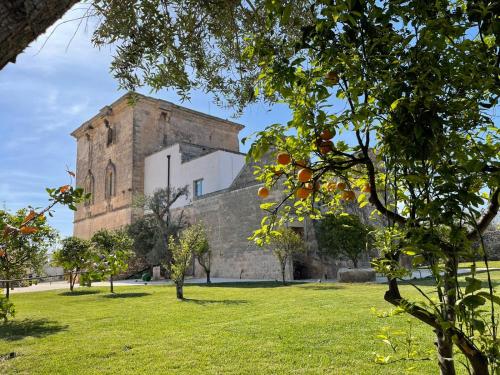 Masseria Trappeto – Photos 5