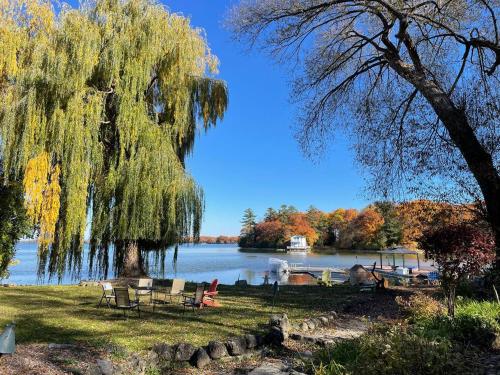 a large weeping willow tree next to a lake at heritage style cottage by the lake in Orillia